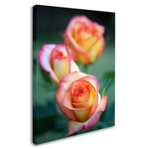 Kathy Yates 'Rose Trio' Canvas Art,16x24